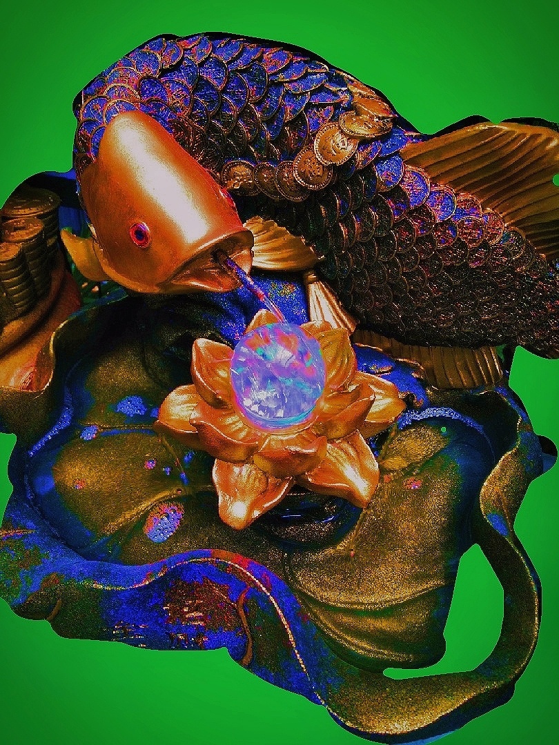 主题鲤鱼戏珠摄影赵谢荣