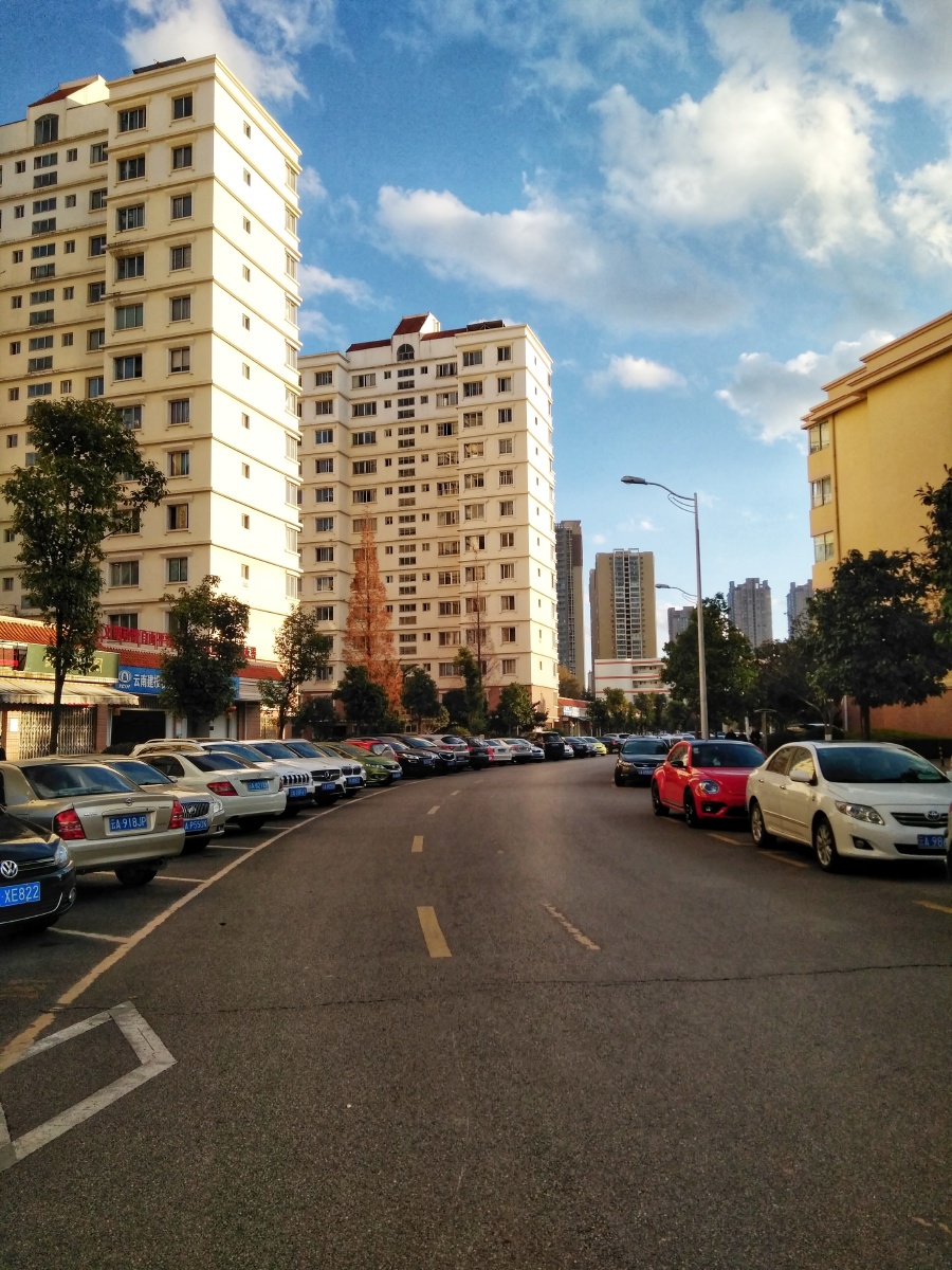 主题昆明行金牛小区冬景摄影赵谢荣