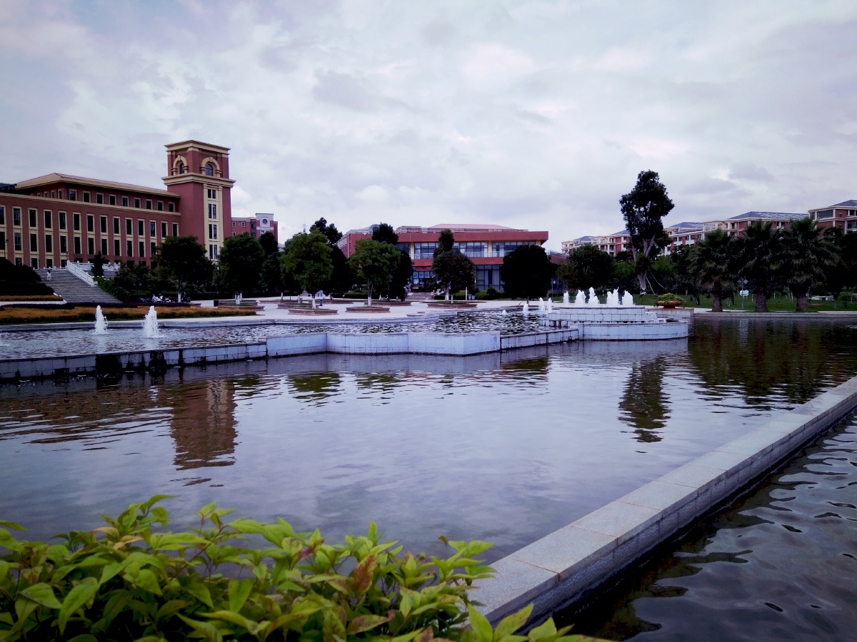 主题云南大学新校区夏景摄影赵谢荣