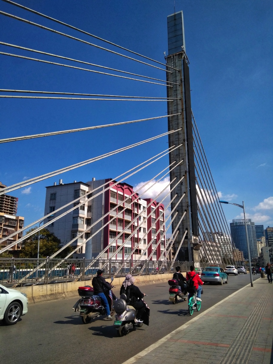 主题:【春城电灯杆】摄影:【赵谢荣】