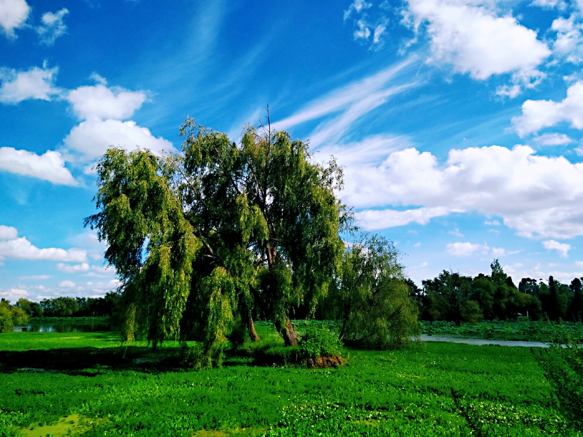 主题秋天的滇池南岸一幅美丽天成的画卷三摄影赵谢荣