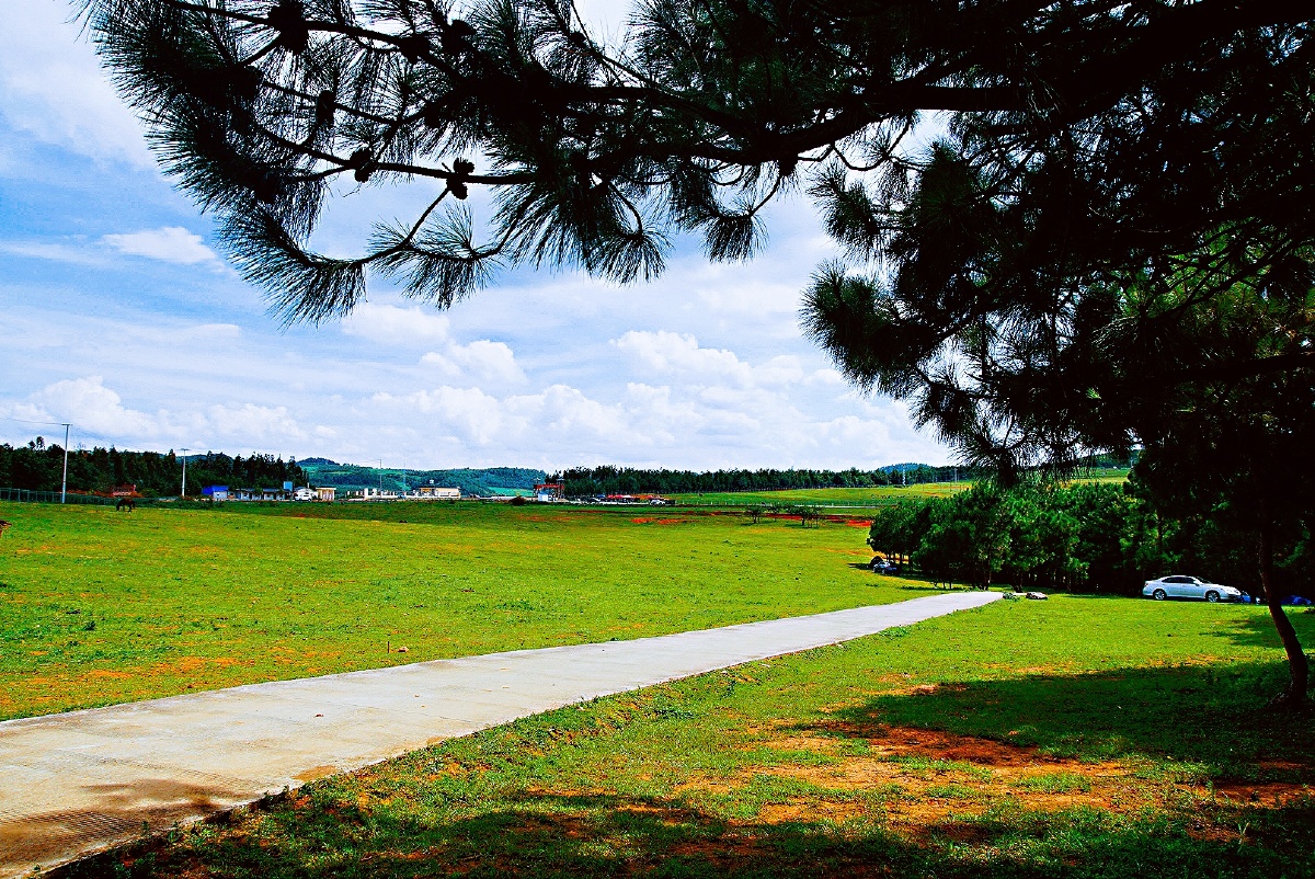 主题:【云南寻甸——北大营草场景色美(一)】摄影