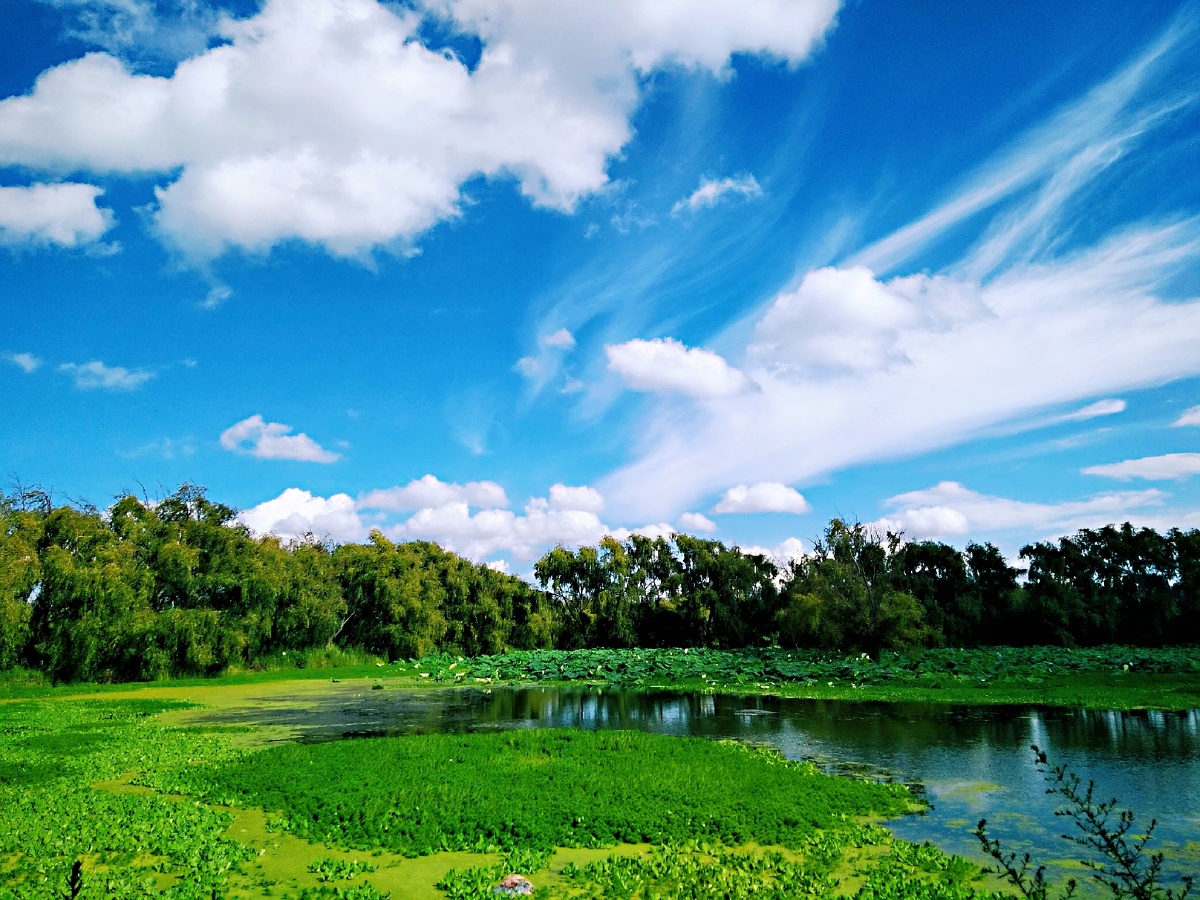 主题秋天的滇池南岸一幅美丽天成的画卷三摄影赵谢荣