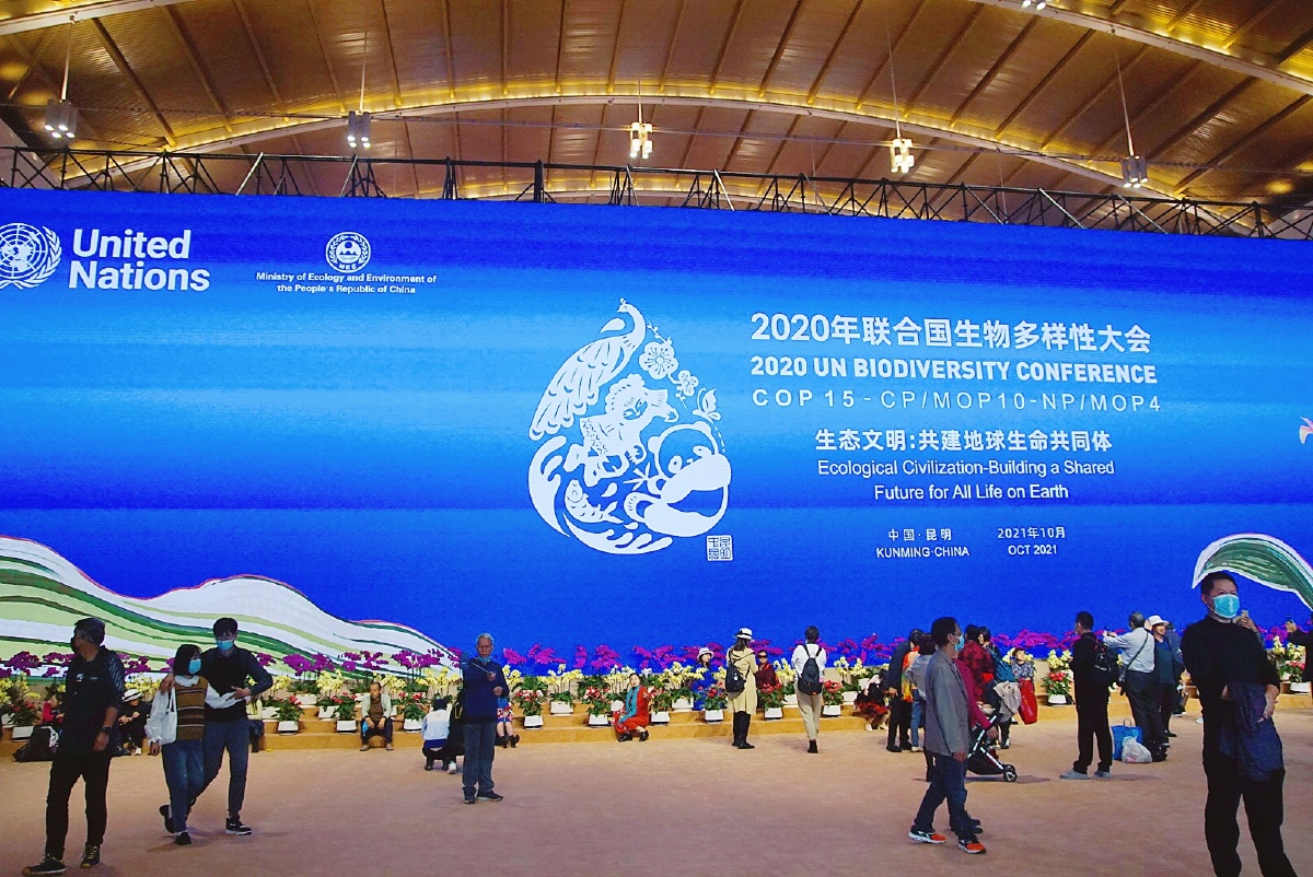 主题参观联合国生物多样性大会召开主会场昆明滇池国际会展中心九摄影