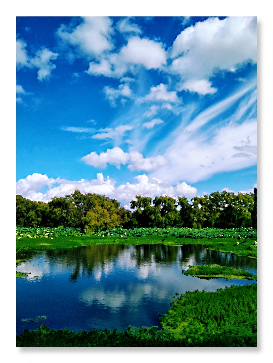 主题秋天的滇池南岸一幅美丽天成的画卷三摄影赵谢荣