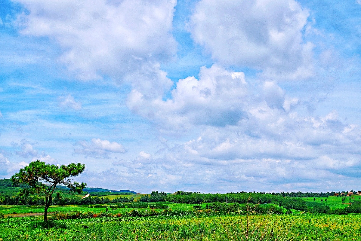 主题:【云南寻甸——北大营草场景色美(十七)】摄影