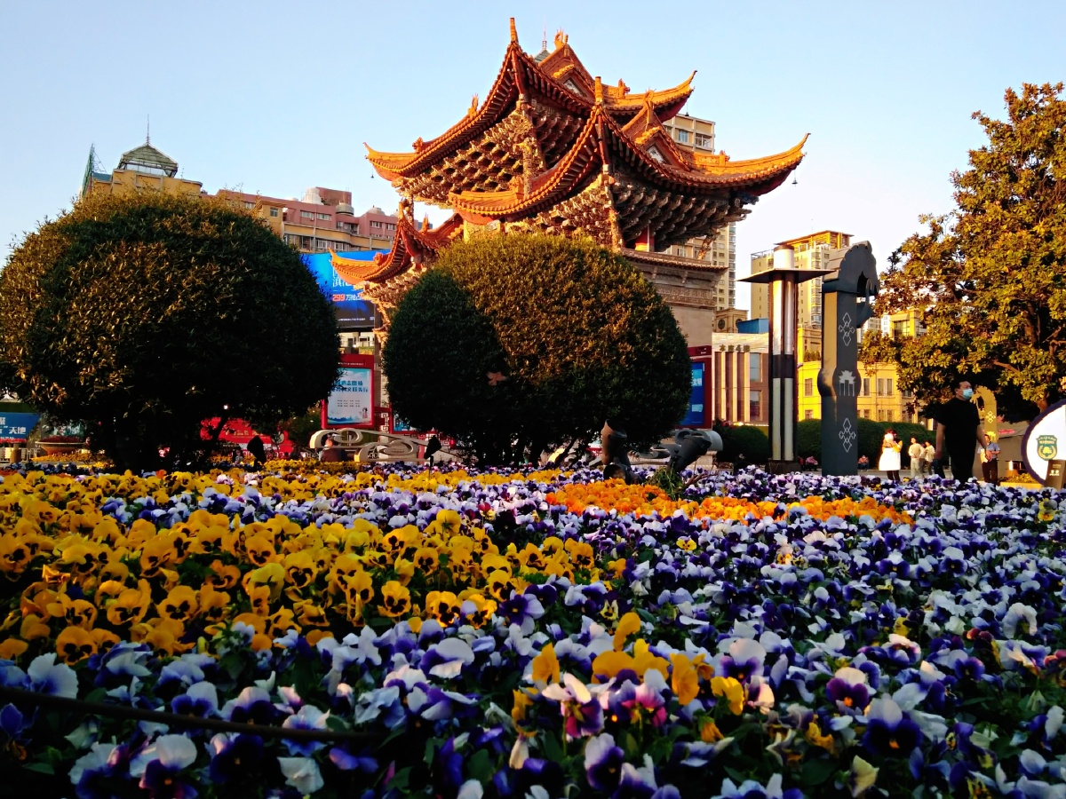 主题春城昆明之美六十五摄影赵谢荣