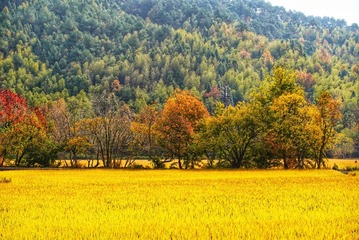 200090