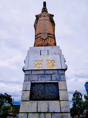8072617