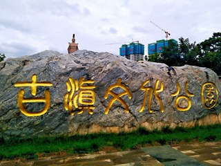 8072619