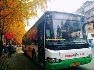 7031330