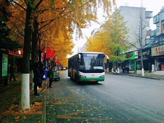 7031329
