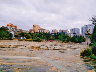 8072611