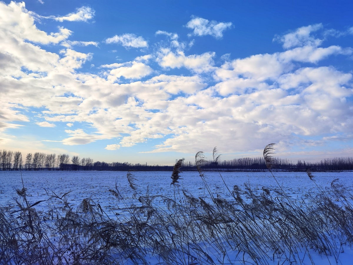 东北冬季蓝天白云和大雪美景如画