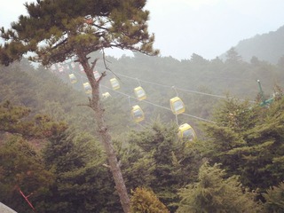 SAM_0610_副本.jpg