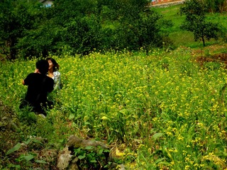 SAM_1038_副本.jpg
