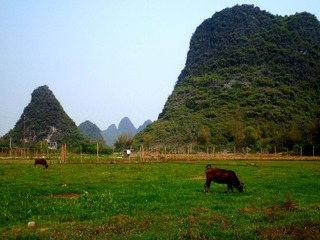 SAM_1047_副本.jpg