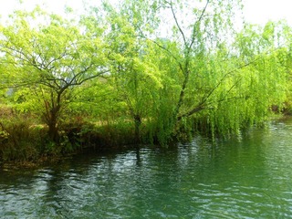 SAM_1086_副本.jpg