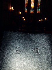 SAM_1417_副本.jpg