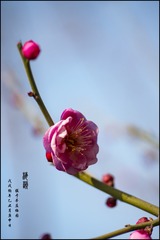 1203610