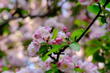 1F3517E4-C747-4F19-A802-B8D482ED72B8/L0/001