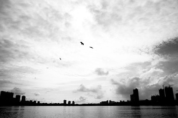 P1060108-1122