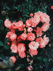 2014-11-07 07.29.31 1_1