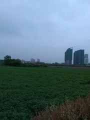 IMG_20120531_113218