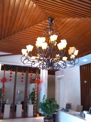 IMG_20120630_125634