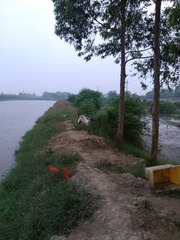 IMG_20120427_153903
