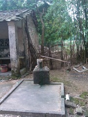 IMG_20120426_113939