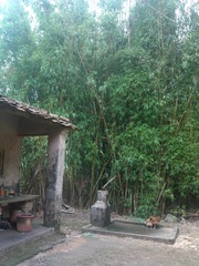 IMG_20120426_151617