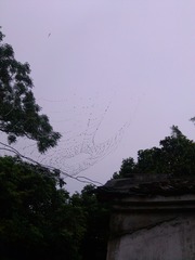 IMG_20120727_145402