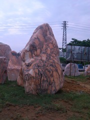 IMG_20120630_105954