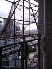 IMG_20120813_095321