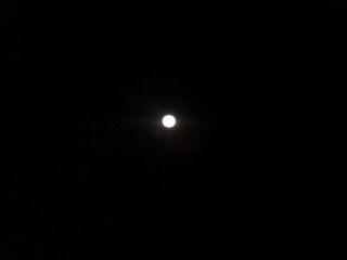 IMG_20131115_010112