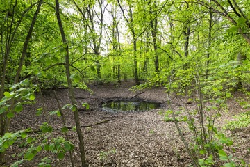 IMG_20131117_180539