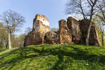 IMG_20130323_110817