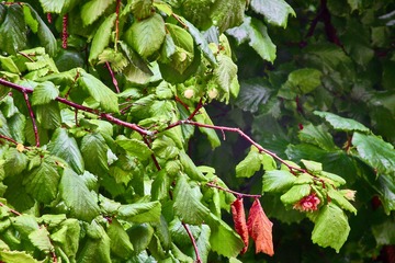 IMG_20130803_120438