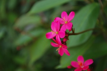 IMGP4509.JPG