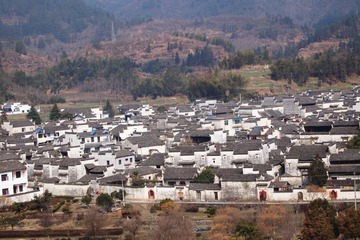 P2143061