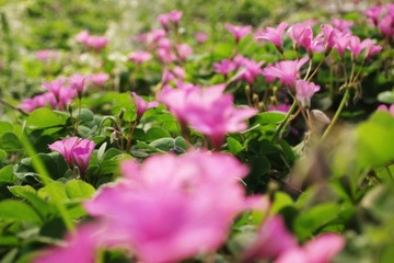 2011年4月暮春1