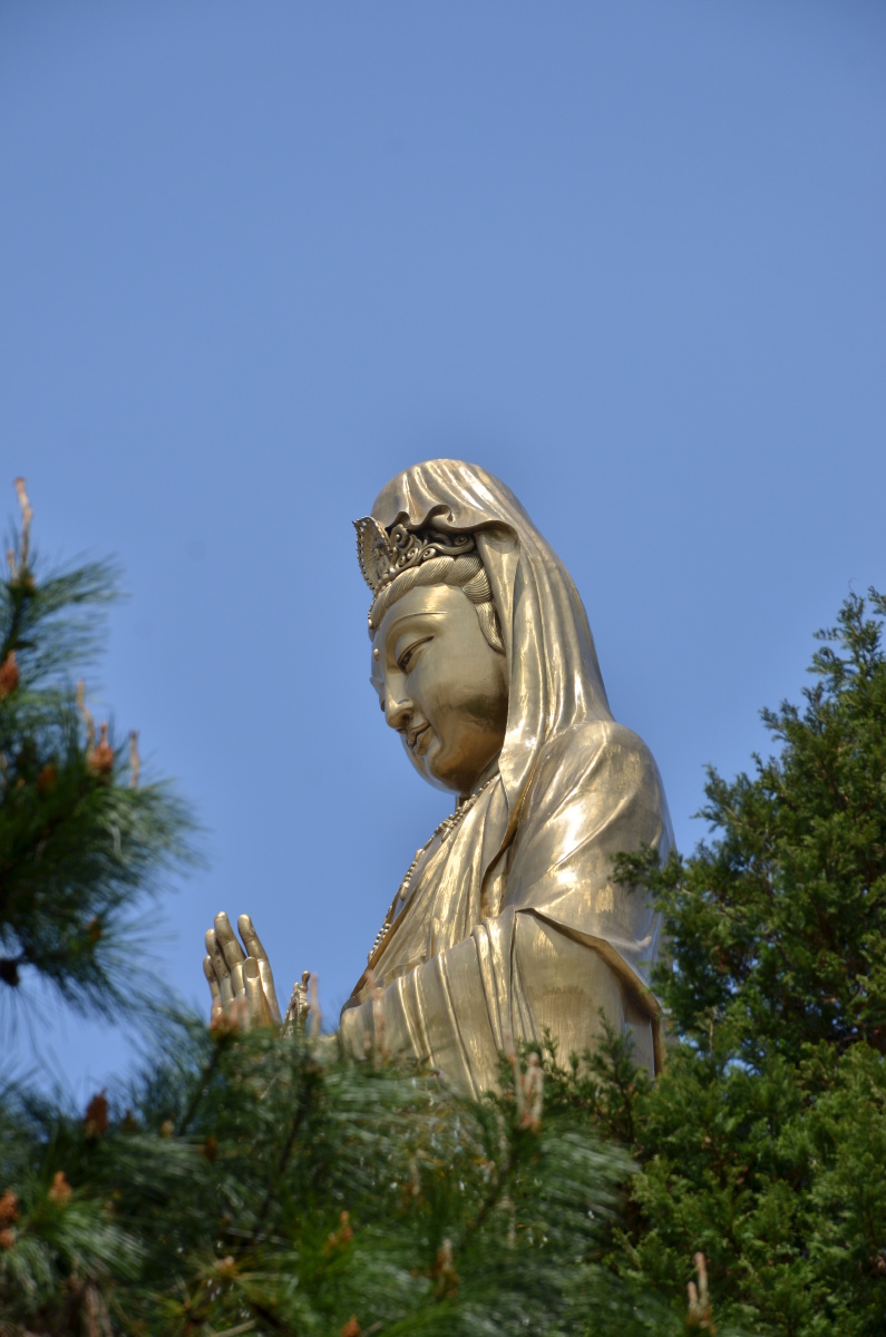 普陀山南海观音