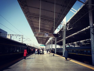 313341