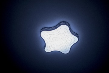_DSF0559