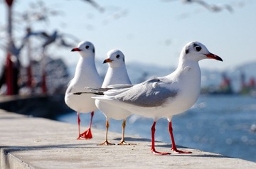 20120127-CXP_5410.jpg