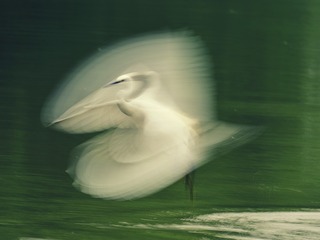 1703665