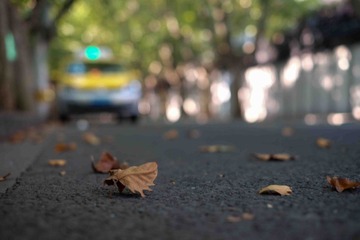 DSCF5206-2