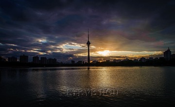 DSC_5680a