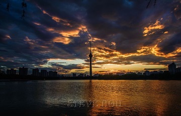 DSC_5729a